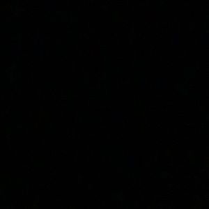 Meet your Posher, Warren